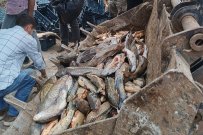 Şanlıurfa’da 2 Ton Balık Ele Geçirildi