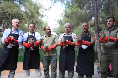 Şanlıurfa'da 400 Kuş Tedavi Edildi