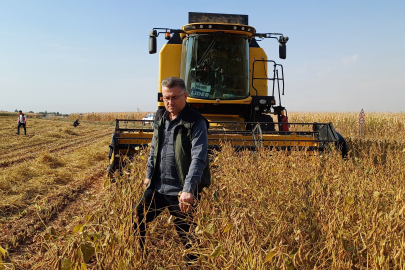 Şanlıurfa'da Soya Fasulyesi Hasadı