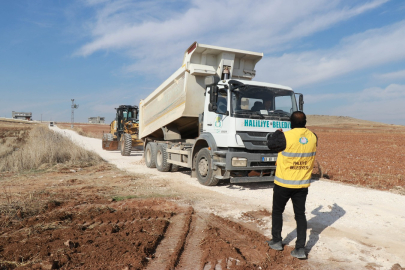 Haliliye Kırsalında Çalışmalar Sürüyor