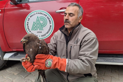 Yaralı Kuşlar Tedavi Altına Alındı