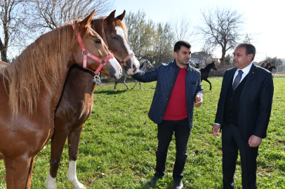 Suruç'ta At Çiftliğini Ziyaret Etti